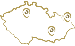 Timeline